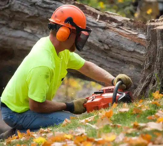 tree services Gaston